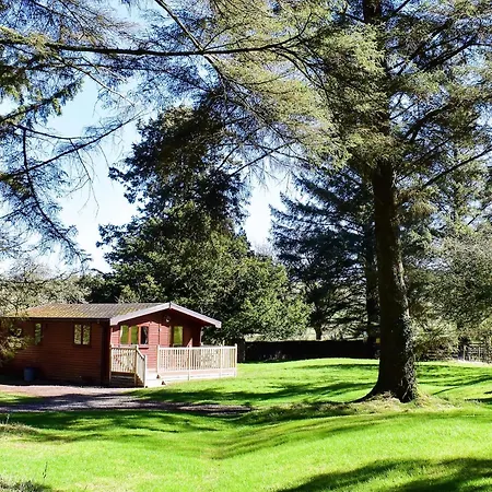 Secluded Pine 2 Wigton