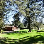 Secluded Pine 2 Apartment Wigton