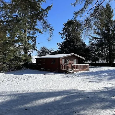 Secluded Pine 2 Wigton